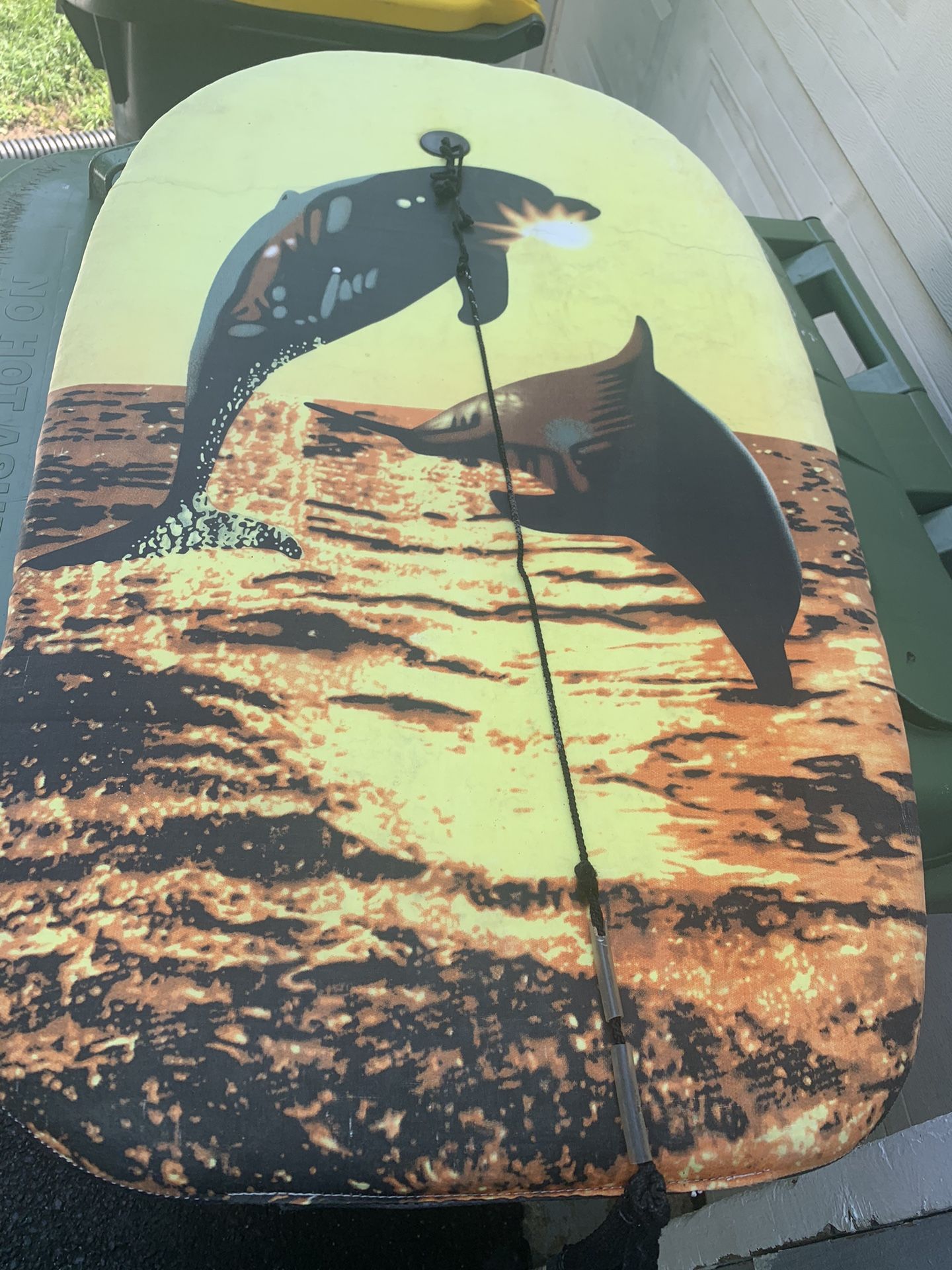 Dolphin Boogie Wave Board