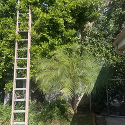 Louisewille Ladder 30 Feet