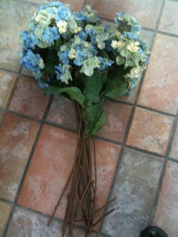 Pir one flowers