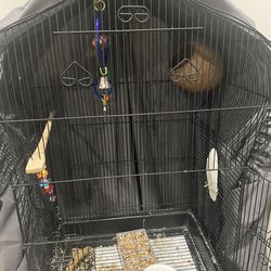 Bird Cage