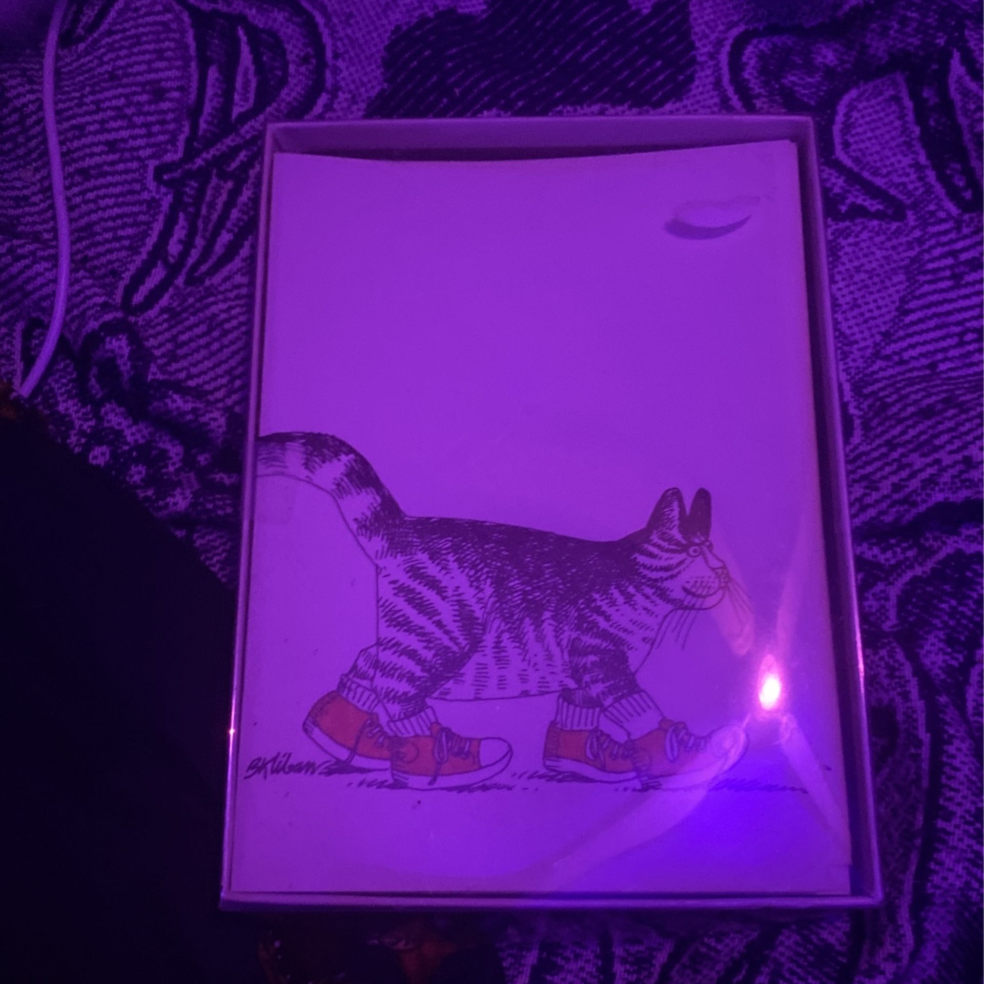 Cat Note Cards