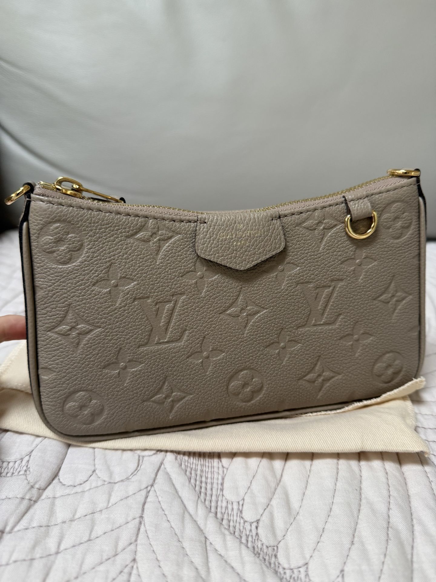 Louis Vuitton Easy pouch