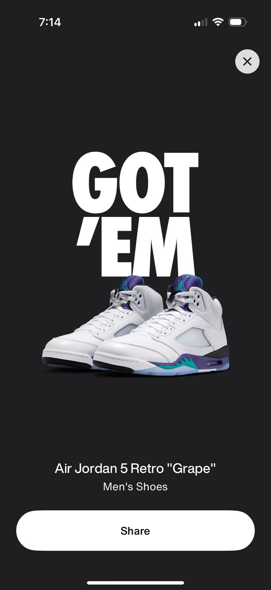 Jordan 5 Retro Grape