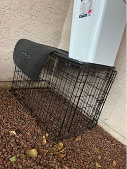 Pet Kennel