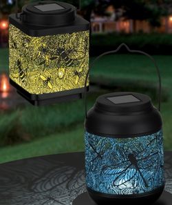 Shadow Lantern Dragonfly