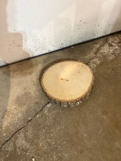 Natural Wood Slice with Bark Edge center piece