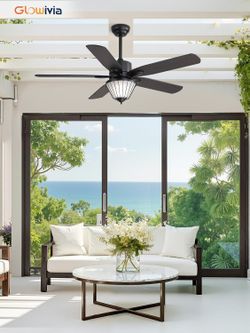 Outdoor Ceiling Fan with Lights