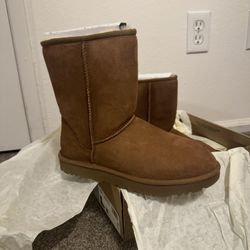 Women Uggs Classic 