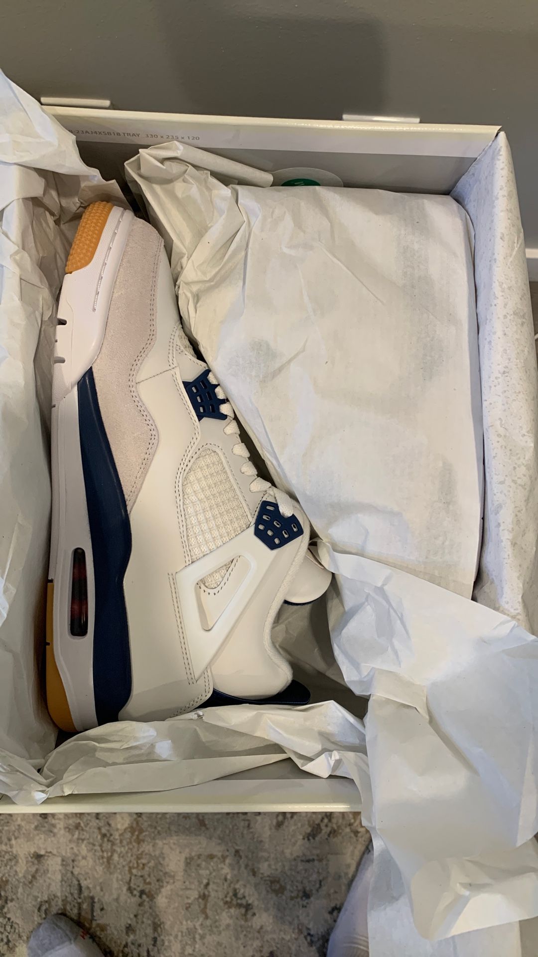 Nike SB Air Jordan 4