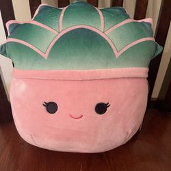 Squishmallow, Kellytoys, Collectible,  8inch