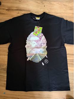 A bathing ape