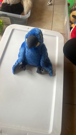 Stuffed animal
