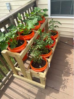 Gardening made simple