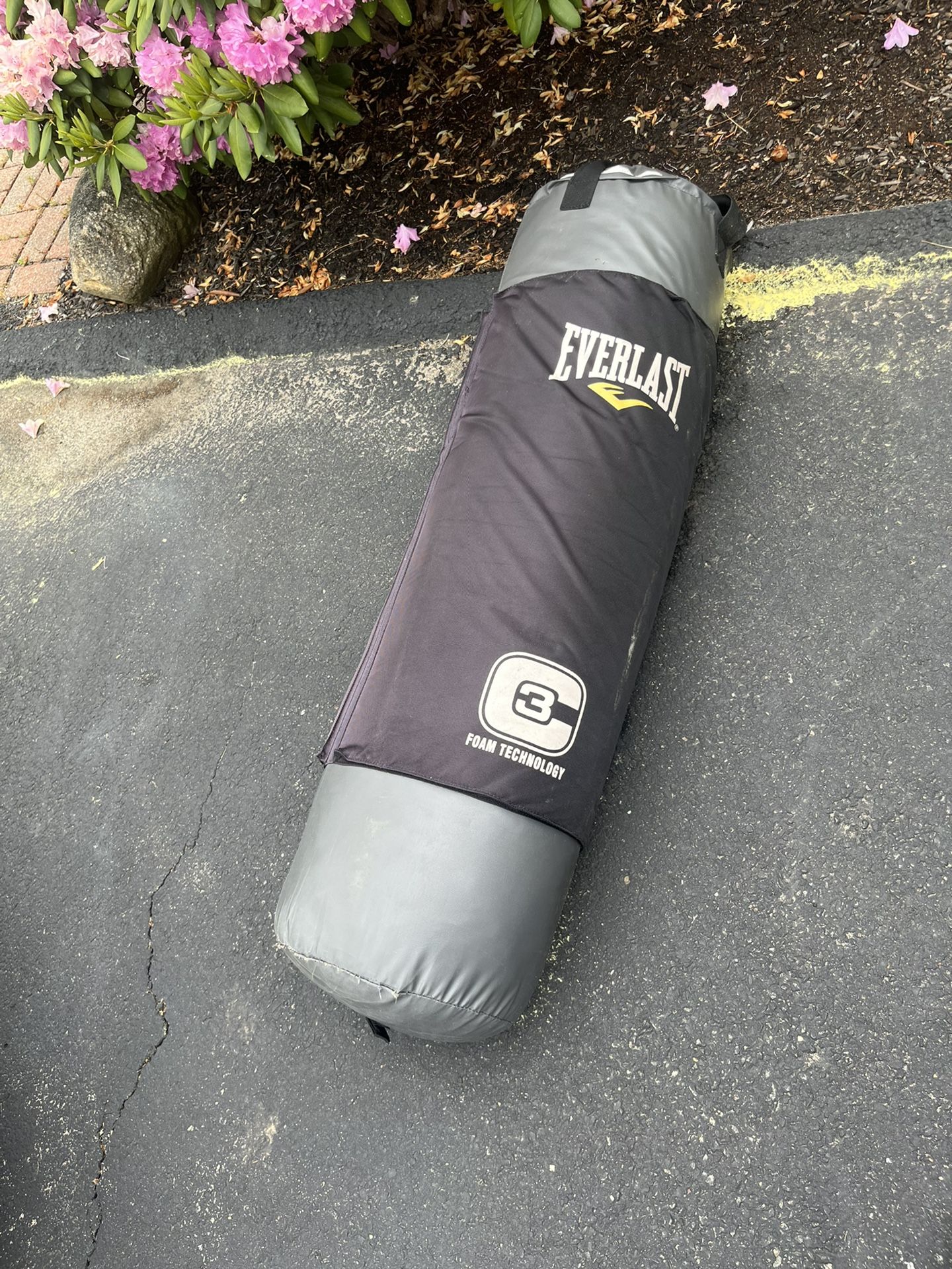 Everlast Heavy Bag