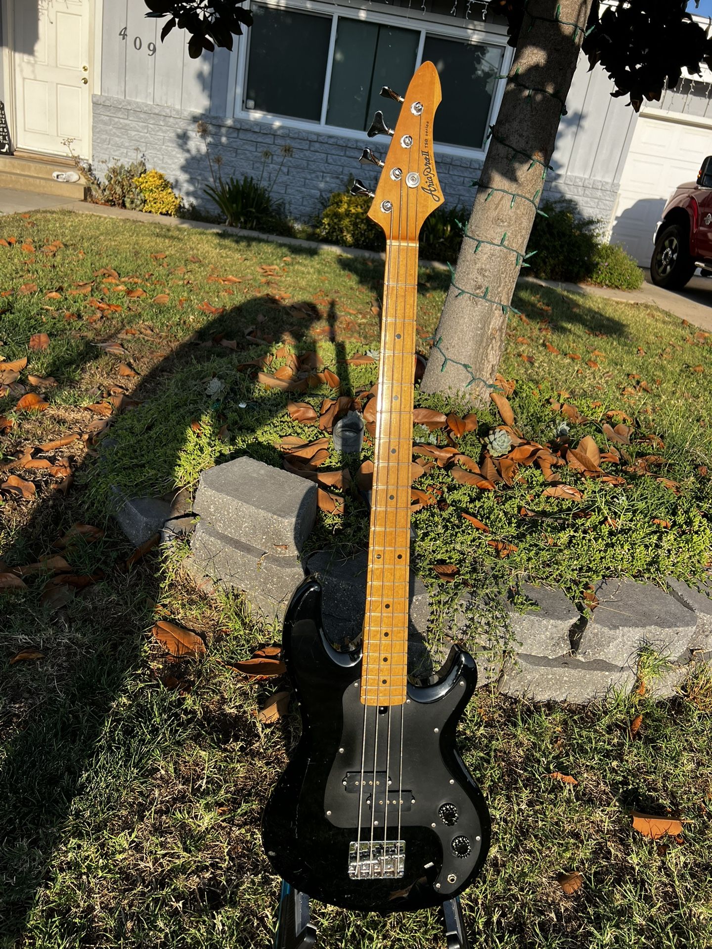 Aria 2 Bass Guitar 