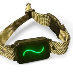 Black and White Training Collar with Remote for Small, Medium Dogs