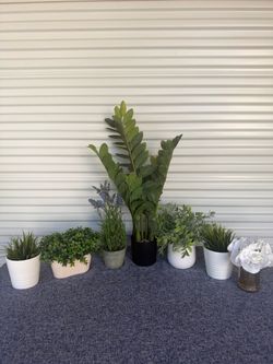 Table Deal of Artificial plants