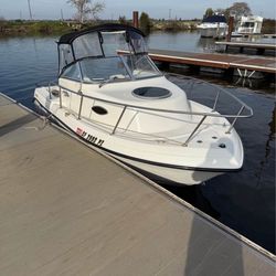 Beautiful condition 2003 1851 Seaswirl Striper w/a with cuddy   Fishing