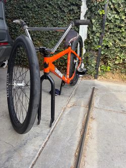 Throne 29er