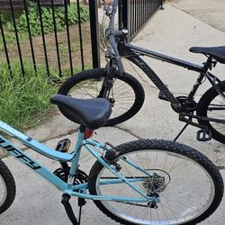 Two Bikes For Sale