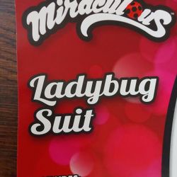 Lady Bug Costume For Halloween  🎃 