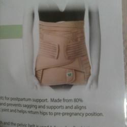 Three In One Belly Band