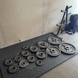 Olympic Weights with Stand