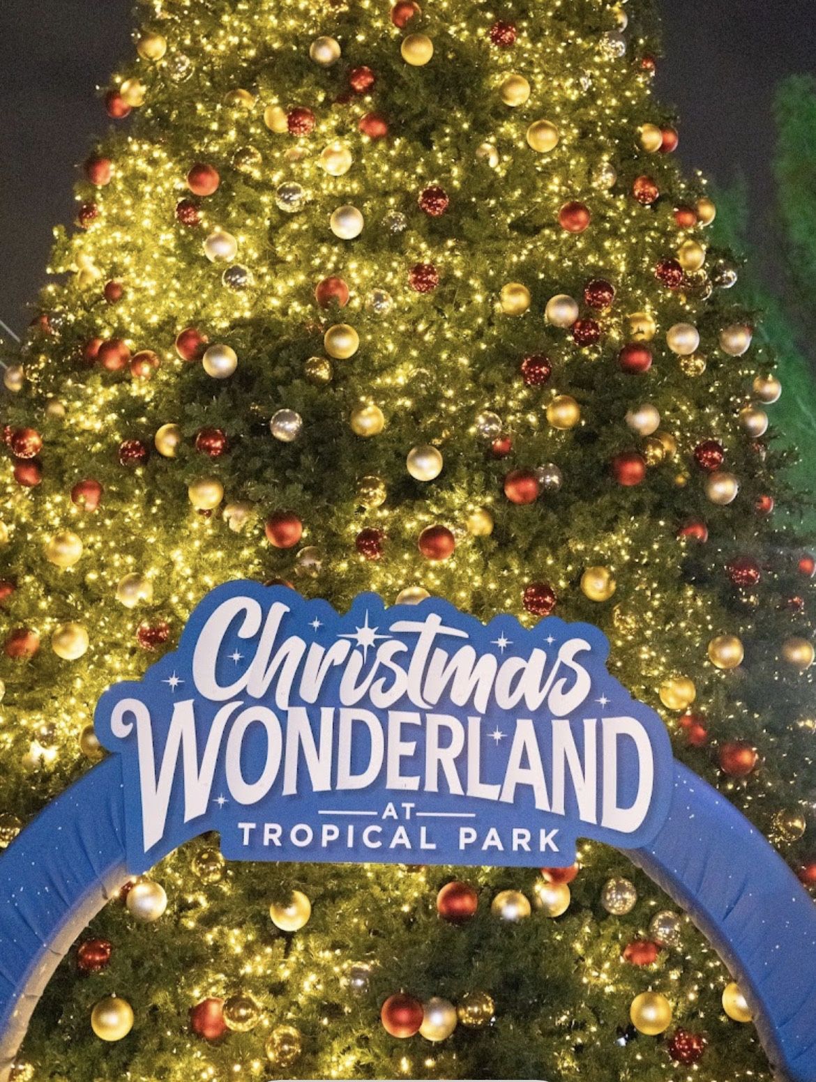 Christmas Wonderland