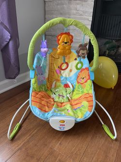 Baby Bouncer