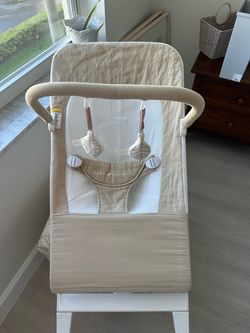 Baby Delight Baby Bouncer