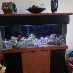 Extra Large Fish Tank