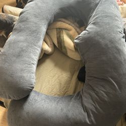 Pregnancy Pillow 
