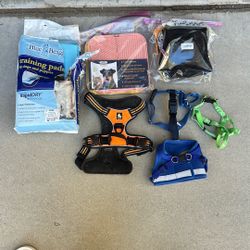 Dog Accessories
