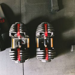 Rogue Fitness and Bowflex Gym Equipment 