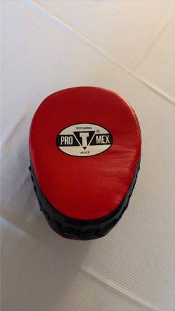 One Title Pro Mex boxing mit