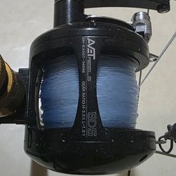 Avet 50sds 2 Speed  600 Obo