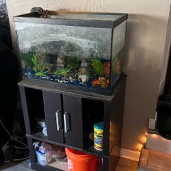 Used 20gal Aquarium Set Up