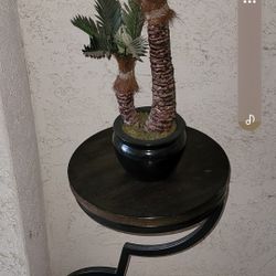 Plant And Stand 