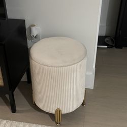 Velvet  Storage Ottoman 