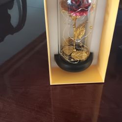 A dream flower for lady.