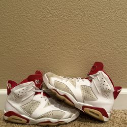 2017 Jordan 6 Alternative 