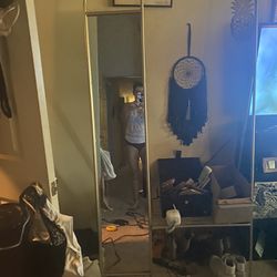 Mirror/ Hanging Rack With Shelf