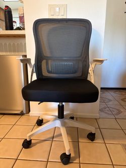 Ergonomic Desk Chair
