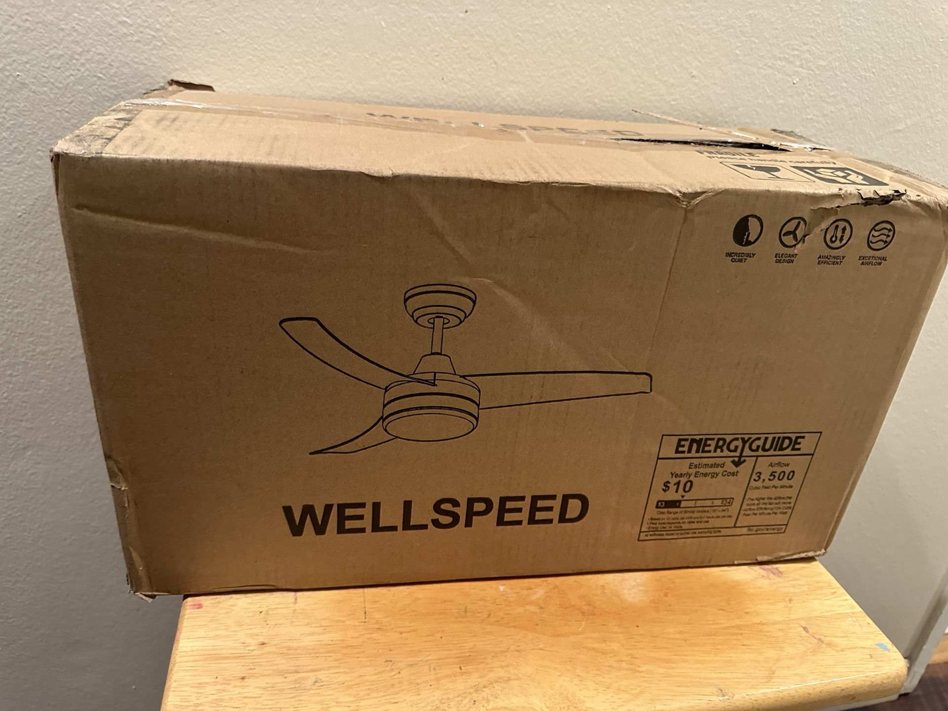 wellspeed ceiling fan