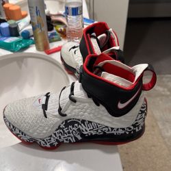 LeBron Shoes