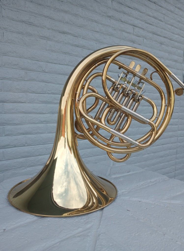 Nice French Horn Plus Hardshell Case