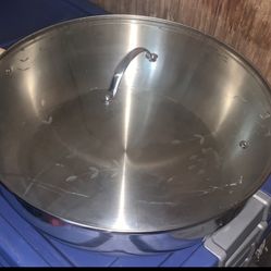 Princess House Stainless Steel Classic 16-Qt
