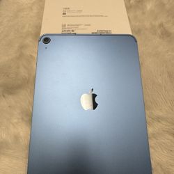 Apple iPad (A16) 128GB Blue Unlocked 