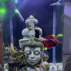 Marine Land 5 Gallon Fish Tank
