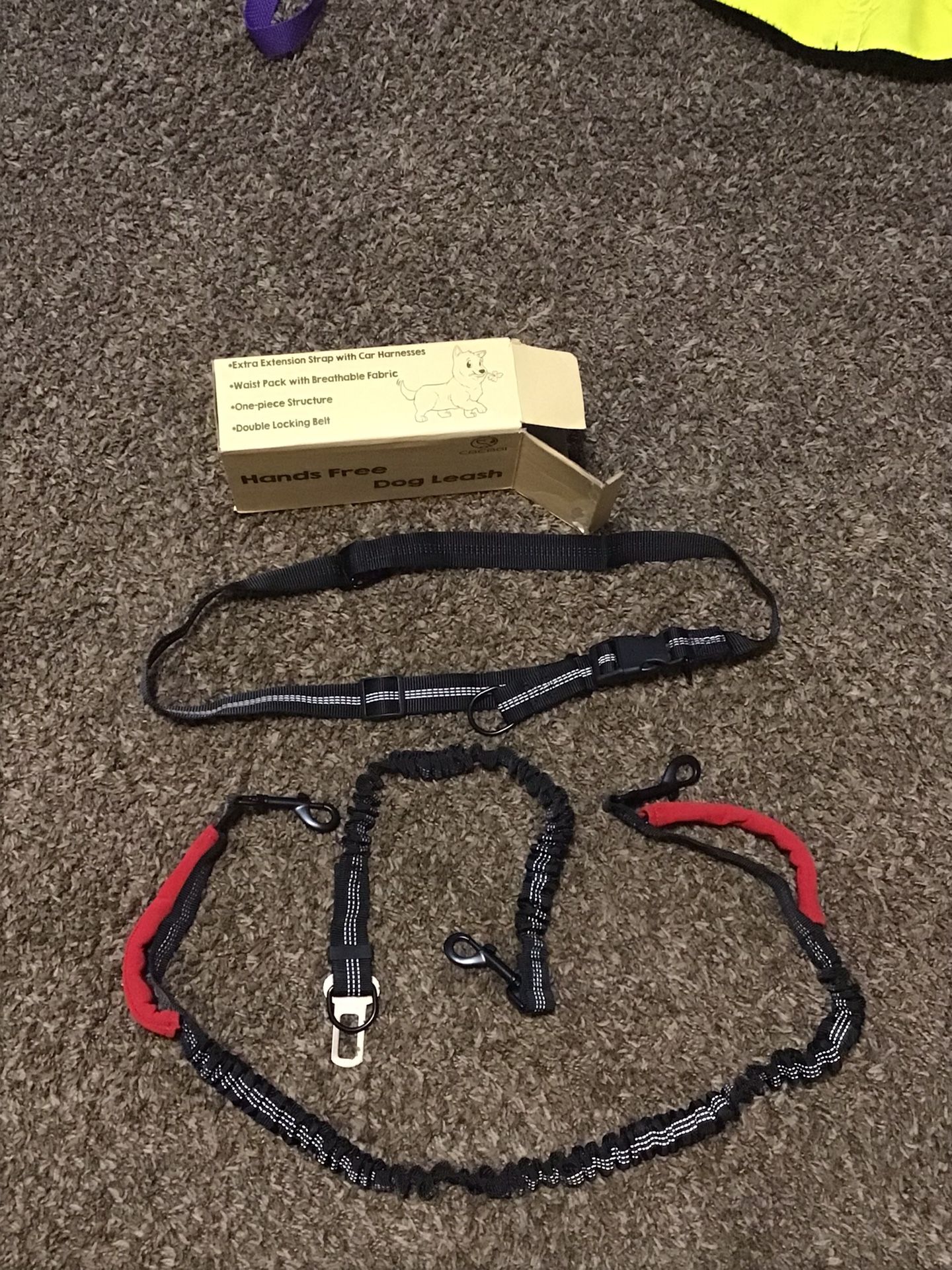 Hands Free Dog Leash